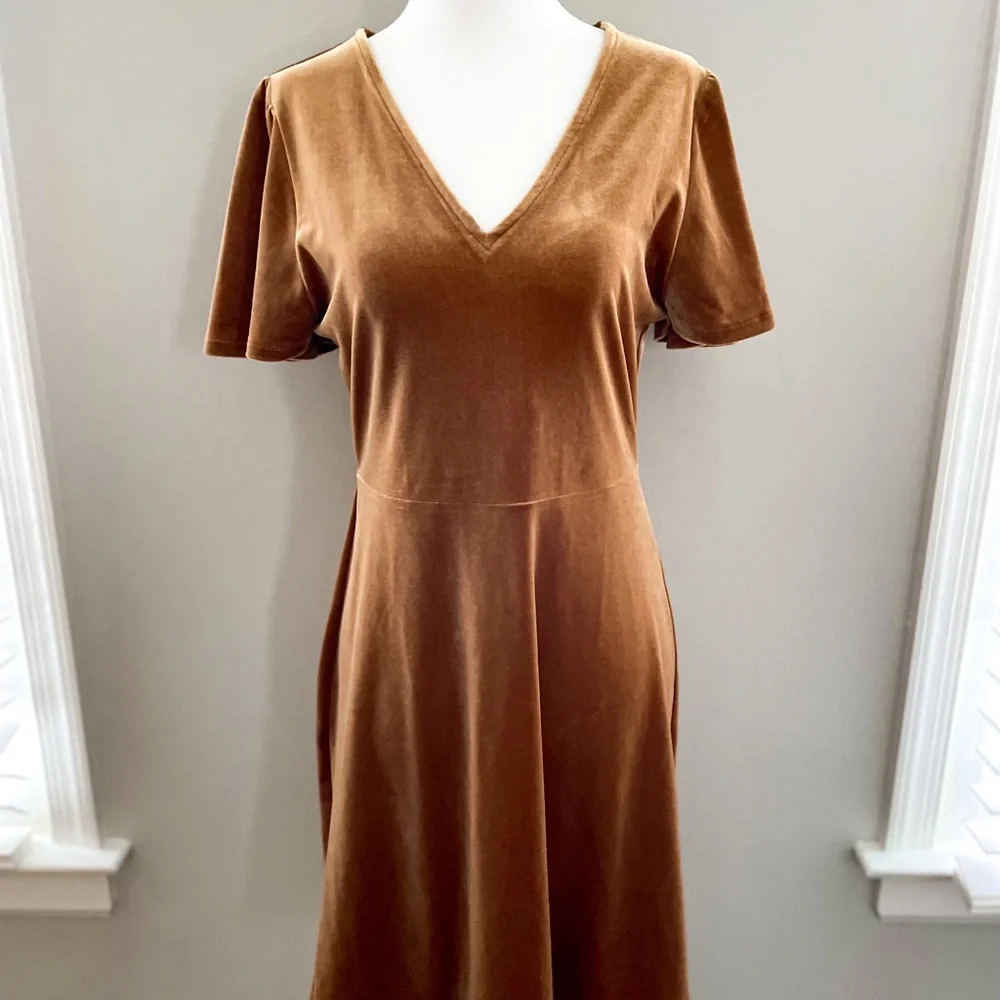 SOLD Madewell Velvet V-neck Flutter Sleeve Dress - Picture 5 of 13